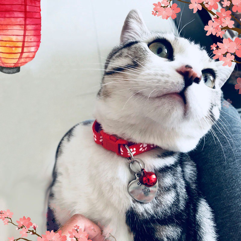 Vòng Cổ 19-23cm VớI Chuông Cho Thú Cưng
