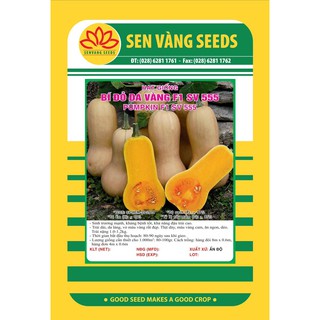 Gói 5 Hạt Hạt giống Bí Đỏ Da Vàng F1 SV 555