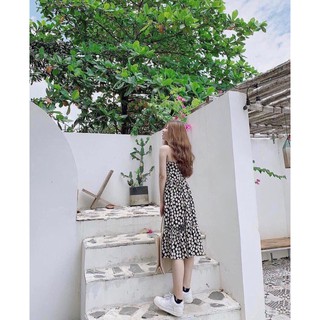 Đ. 2d hoa cúc midi (hình thật) H2899