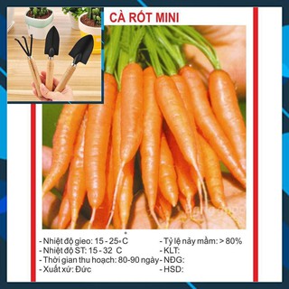 Hạt giống Cà Rốt Mini 0.1Gram TẶNG BỘ LÀM VƯƠN MINI