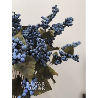 Cành quả việt quất Blueberry 65cm