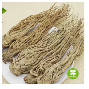 Đương Quy Khô 1KG -TDX190