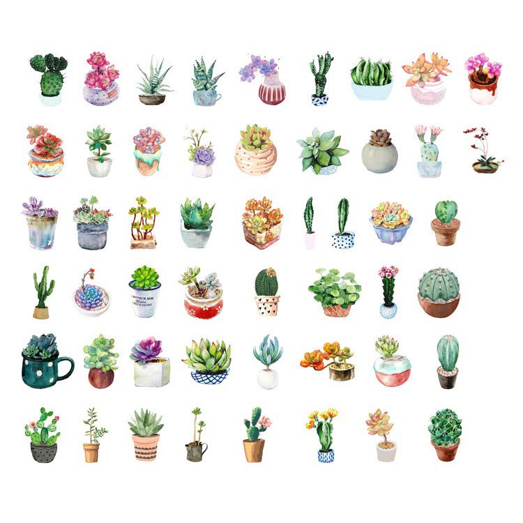 Hộp 50 sticker giấy SH5002 Gachini