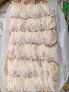 Combo 2kg mực câu mini Vân Đồn