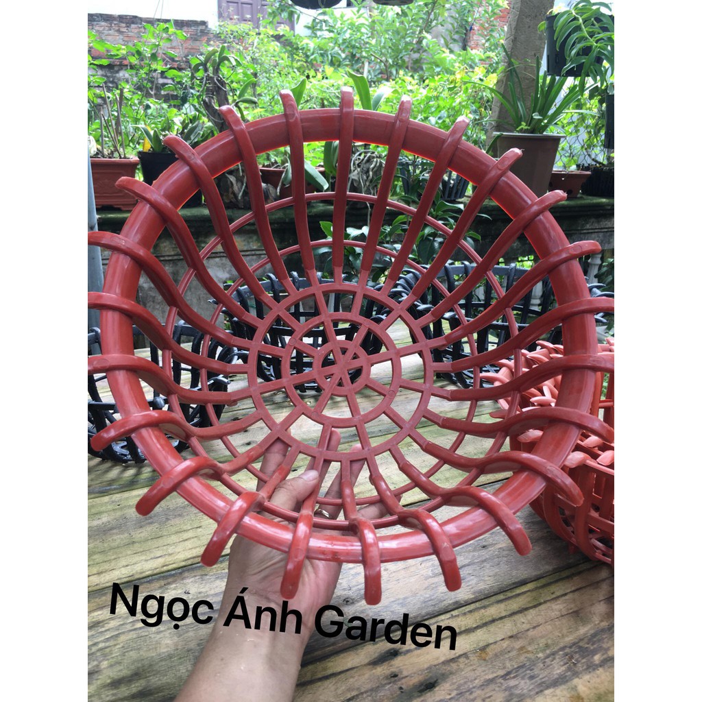 Combo5 chậu nhựa kiểu sen trồng lan phi 35 (màu đen,màu cam)