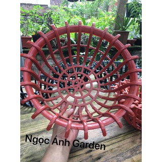 Combo5 chậu nhựa kiểu sen trồng lan phi 35 (màu đen,màu cam)