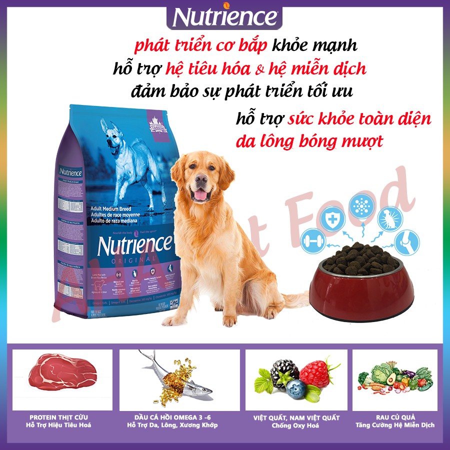 [Nhập Khẩu Canada] Thức Ăn Cho Chó Golden Nutrience Original Bao 11,5kg Phát Triển Cơ Bắp - Thịt Cừu, Rau Củ, Trái Cây