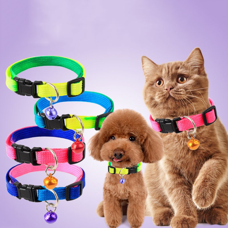 Vòng cổ 7 sắc màu đáng iu cho chó mèo dưới  6kg