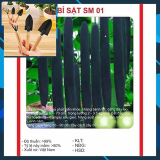 Hạt giống bí sặt 2gram tặng bộ làm vươn mini
