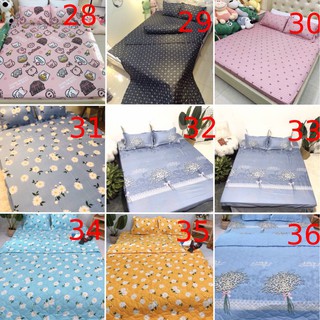 Trọn bộ chăn ga gối cotton poly