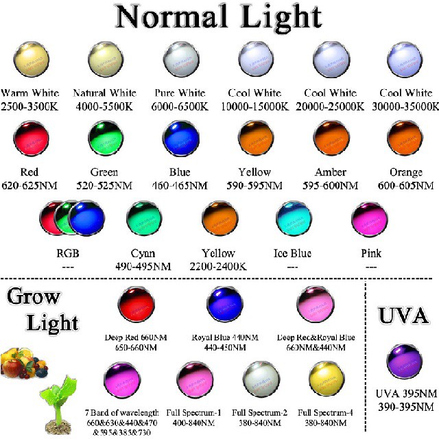 Led 1w Luxeon Epistar Trắng 10000k [CHÍNH HÃNG, CHUẨN BƯỚC SÓNG] Ánh sáng mạnh, Tiết kiệm điện, Tuổi thọ 50000h | BigBuy360 - bigbuy360.vn