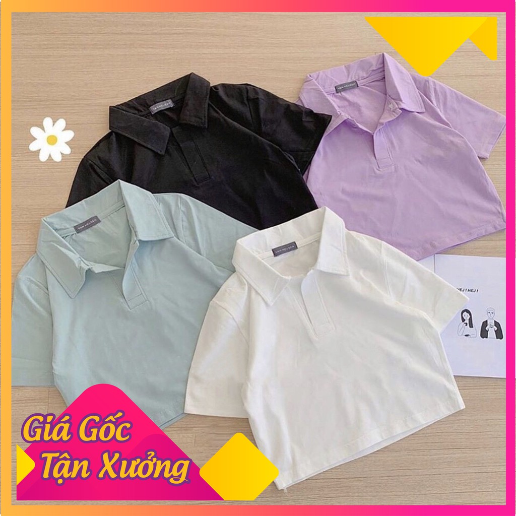Áo Croptop Áo Croptop POLO Nữ chất đẹp mặc cực thích