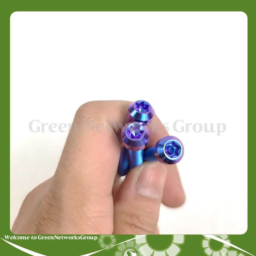 Ốc GR5 6 ly 40 Màu Xanh tím đầu dù bắt gù xe, lốc máy, cùm và nhiều vị trí thông dụng khác Greennetworks ( 1 Con )