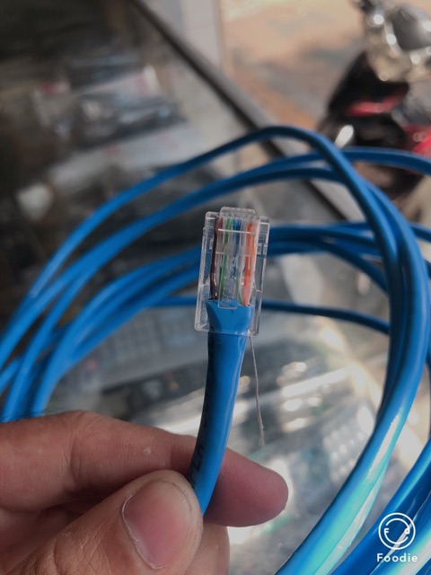Dây cáp mạng cat6 bấm đầu sẳn