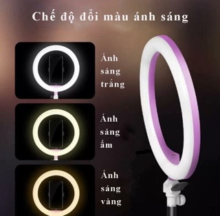 Bộ đèn live stream fill light siêu sáng