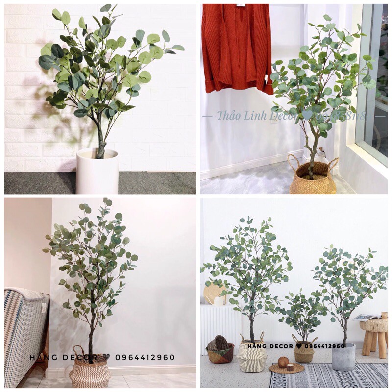 Cây bạch đàn giả- Cây giả trang trí cao cấp ( size 85cm ,130cm ,165cm)