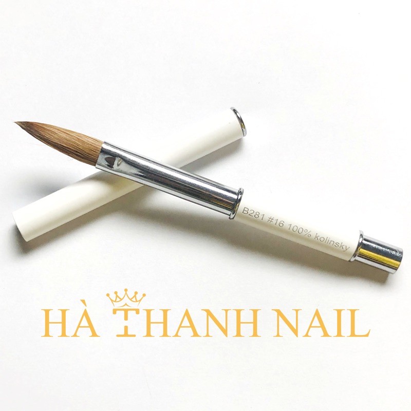 [ Hàng Chính Hãng ] Cọ Đắp Bột B281 Cao Cấp 100% Kolinsky Lông Tự Nhiên