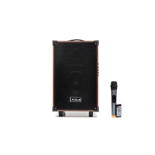 Combo Loa Bluetooth Karaoke I.value 10inch Gỗ + Mic không dây