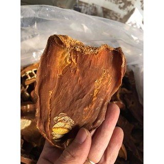 Măng Lưỡi Lợn (Măng Mầm)