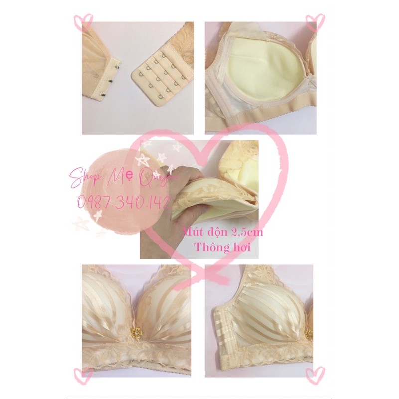 Áo lót định hình kẻ sọc Elly công chúa không gọng mút vừa- cam kết hàng loại 1