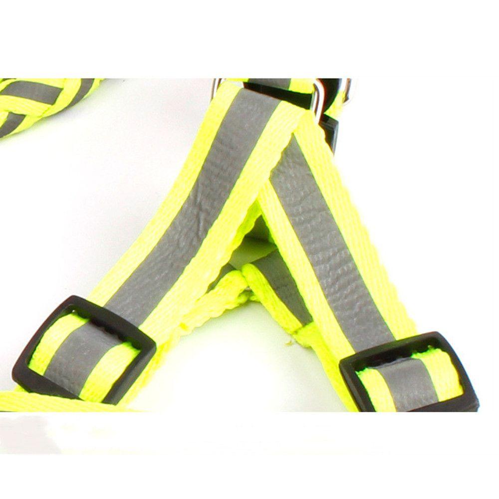 Dây Xích Huấn Luyện Thú Cưng ZAIJIE24 Thiết Kế Bền Bỉ Tiện Dụng