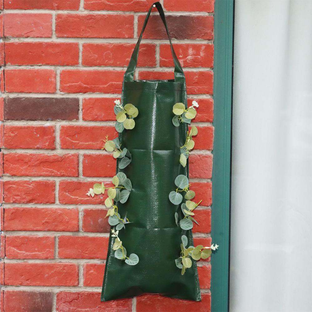 Chậu Trồng Dâu / Hoa Dạng Đứng Tái Sử Dụng Tiện Lợi