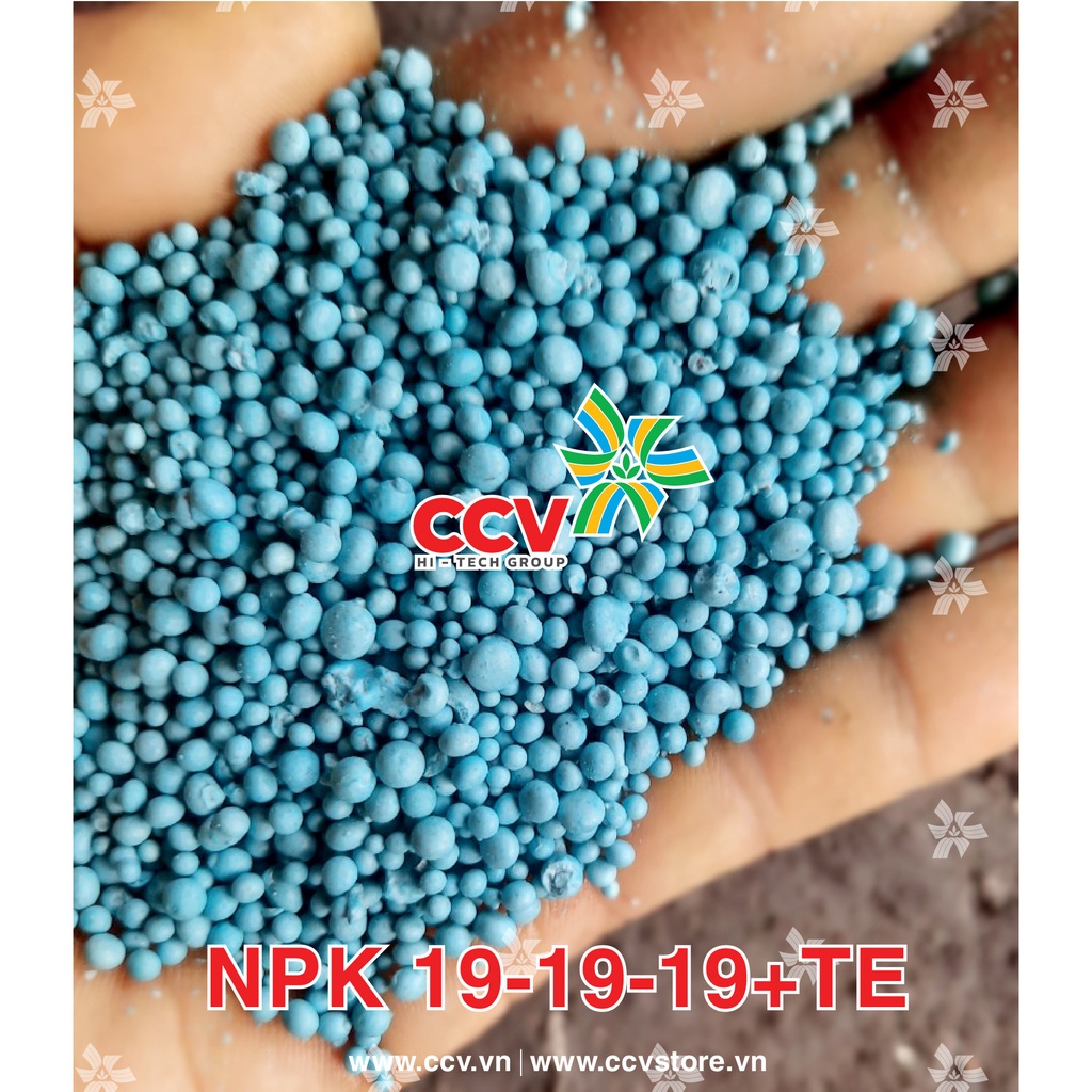 Phân bón chuyên bưởi NPK 19-19-19+Bo+TE