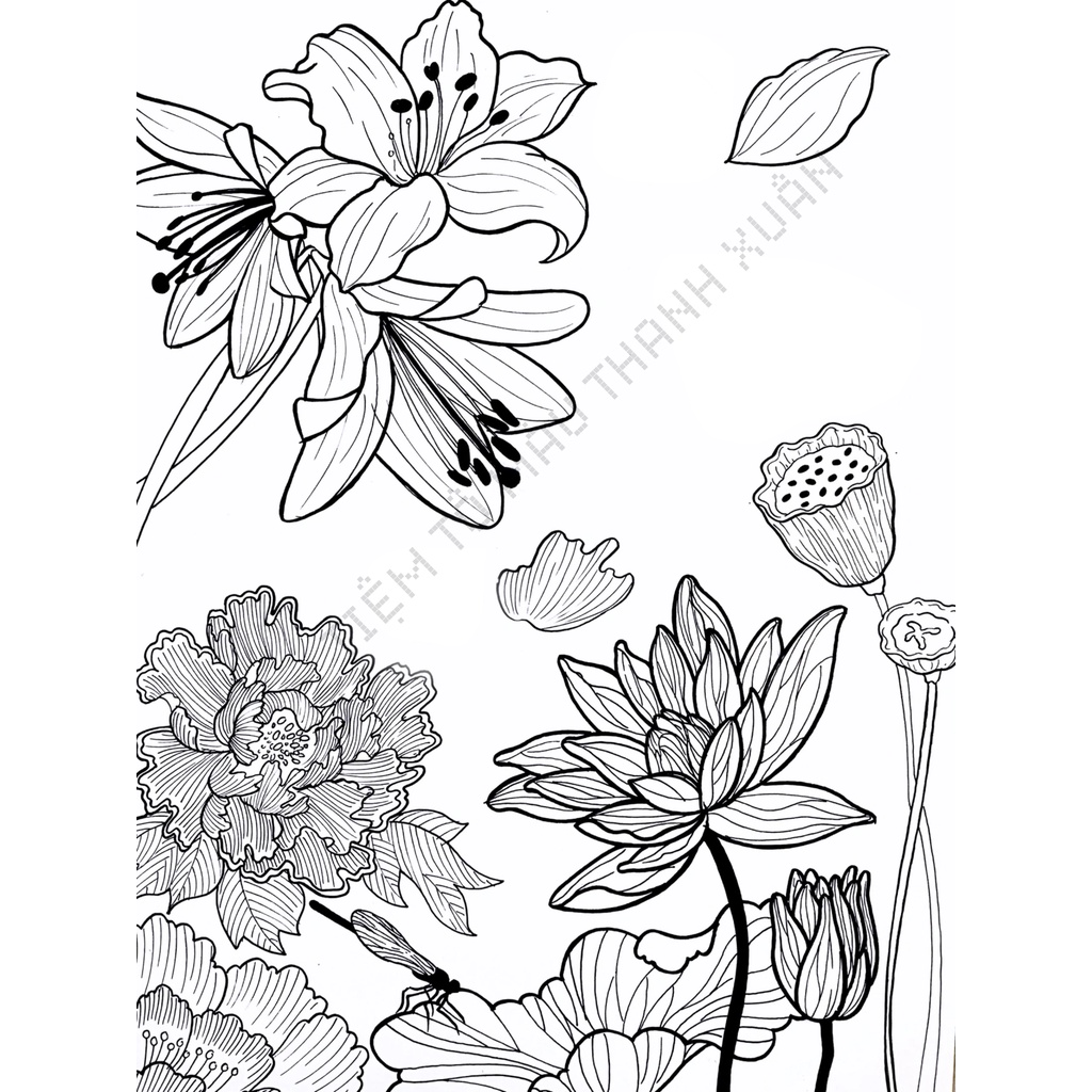 Set 7 Tờ Tranh Tô Màu Hoa Lá Tô Màu Sáp Màu Chì - Tiệm Tô Màu Thanh Xuân