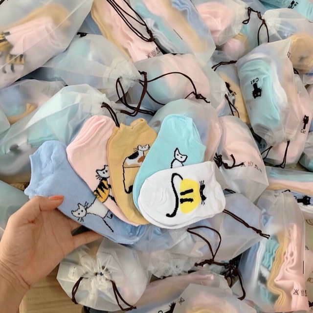 Sét 5 đôi/10 đôi tất mèo baby Quảng Châu