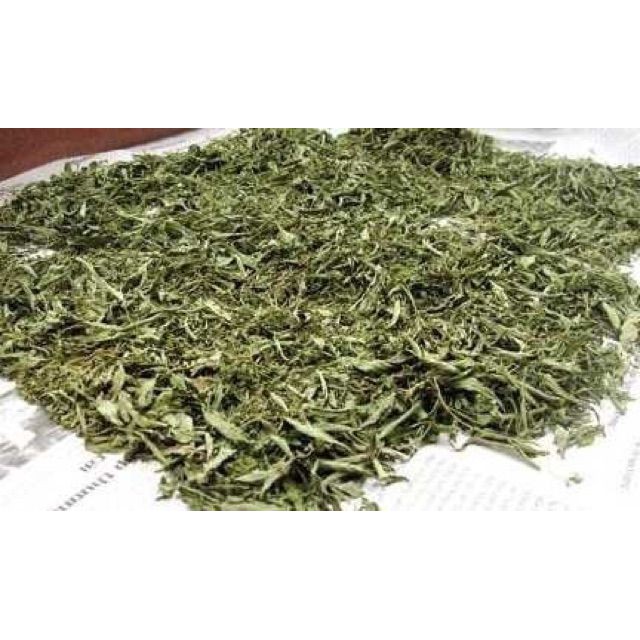 1kg Cỏ ngọt chữa cao huyết áp, tiểu đường