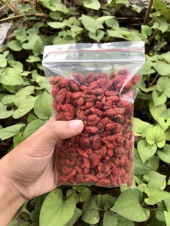 100gr kỉ tử hữu cơ Sỉ sll