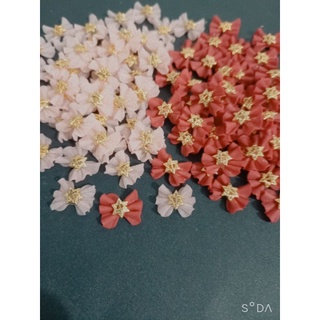 nơ nhún nail trang trí móng
