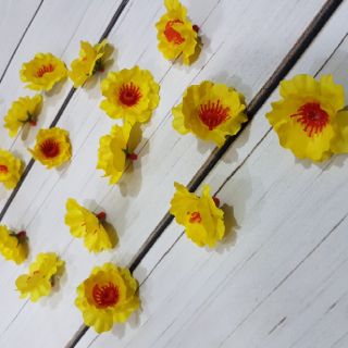 Hoa mai rời