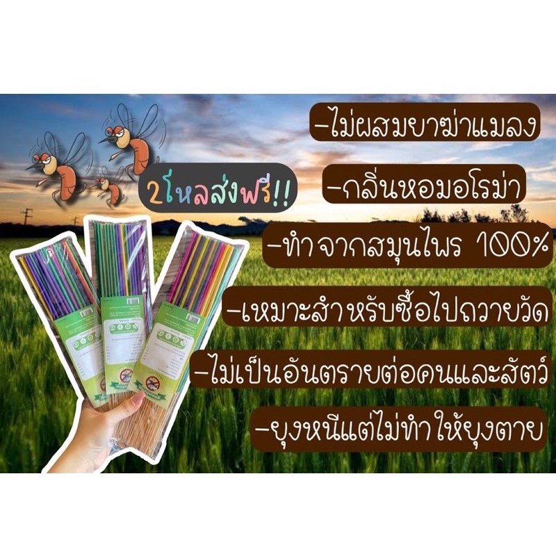 Nhang đuổi muỗi 7 màu hương sả Thái Lan