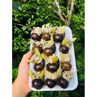 ỐC NHỒI THỊT Khay 12 con