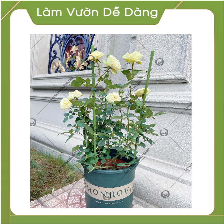 KHUNG TRÒN TRỒNG HOA - Làm giá đỡ cho cây, khung leo, khung đỡ cho các loại cây hoa leo, hồng leo.