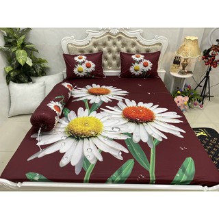 Drap thun lạnh 5D cao cấp mẫu hoa ( 7 màu)