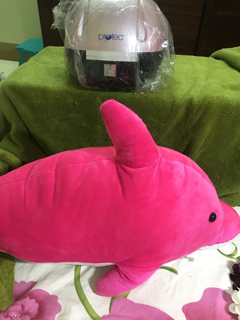 Gấu bông hình con cá heo Cao cấp