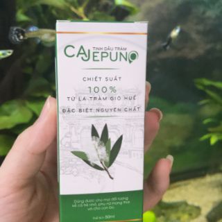 Tinh Dầu Tràm CAJEPUNO lọ 50ml