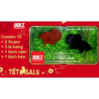 Combo betta food 15 br - thức ăn cho cá