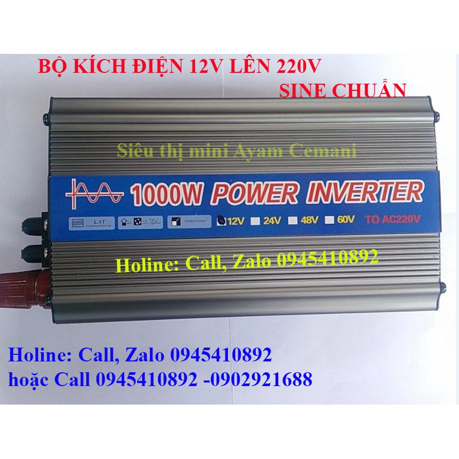 Bộ kích điện sin chuẩn 1000W