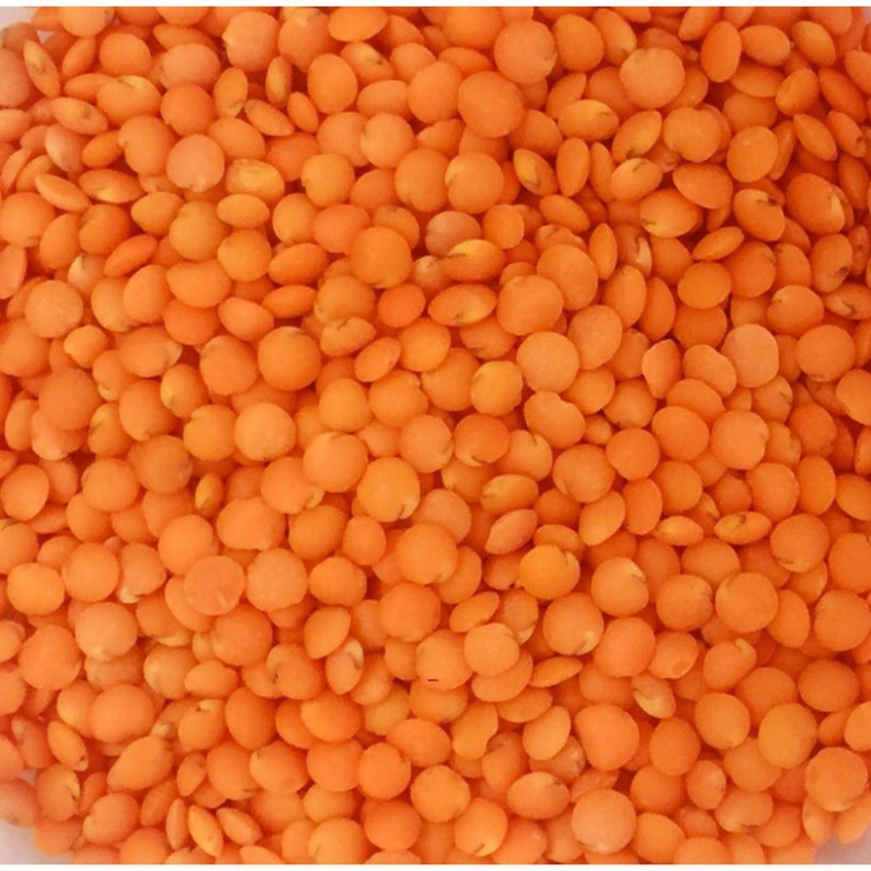 [BÁN SỈ] Combo 10 Bịch Đậu Lăng Đỏ Tách Vỏ Lentil Peas Canada 500g Hàng Mới Liên Tục