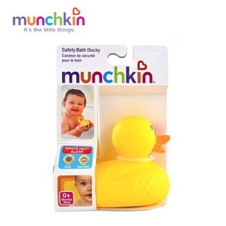 Vịt vàng báo nóng Munckin