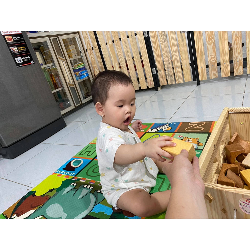 Hộp thả hình khối bằng gỗ-5saokids