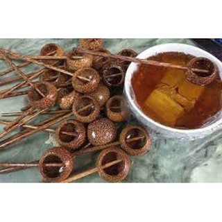 Gáo dừa múc rượu tròn