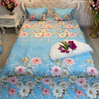 Bộ ga, gối chăn hè poly cotton