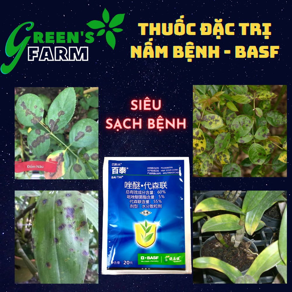 Thuốc đặc trị nấm lá BASF -  Đặc trị Nấm Bệnh, đốm lá, nấm trắng, vàng lá, trên Hoa Hồng, Phong Lan và các loại cây kểng