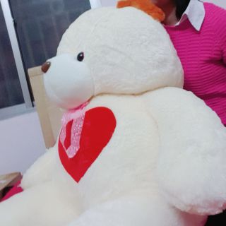 Gấu bông cao gần bằng người