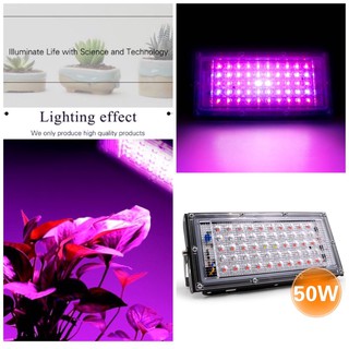Bóng đèn led trồng cây 50w - 220 x 30 x 106 mm