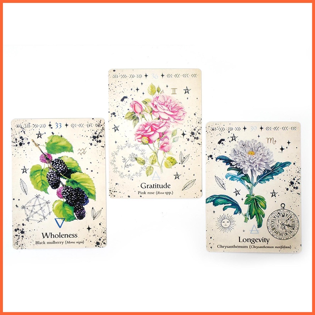 Bộ Bài Tarot Phiên Bản Tiếng Anh 44 Lá Cho Người Mới Bắt Đầu